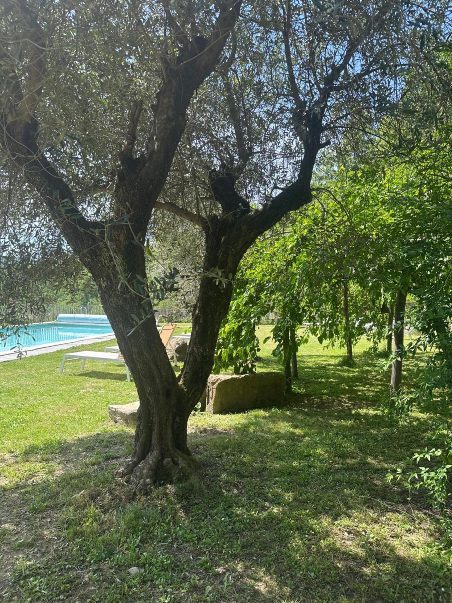 Collina Di Sopra Βίλα Tresana Εξωτερικό φωτογραφία